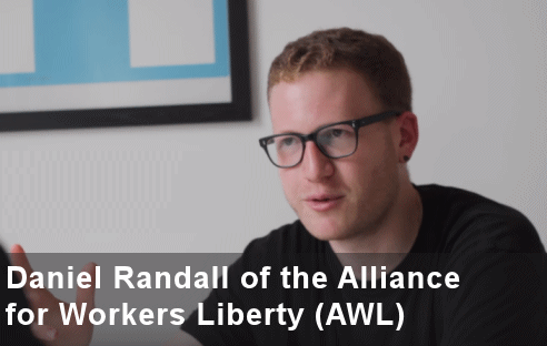 Image result for Sean Matgamna AWL, images